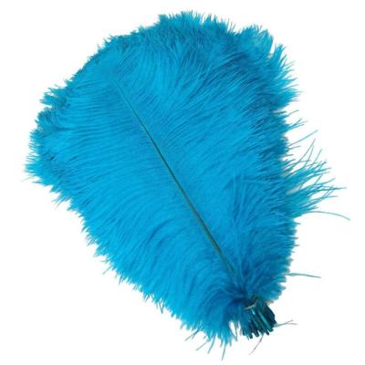 China Decorations Wholesale Hot Sale Ostrich Feather Beautiful 15-80CM Tall for sale