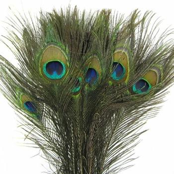 China Party Supplies High Quality Natural Peacock Feathers Real In India for sale