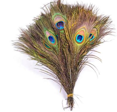 China Peacock feather factory wholesale big eye natural peacock feather peacock for sale