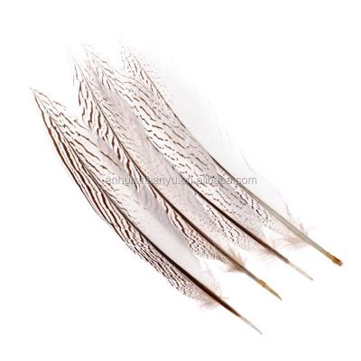 China Wed 8-80cm Wholesale Cheap Natural Silver Pheasant Feather for sale