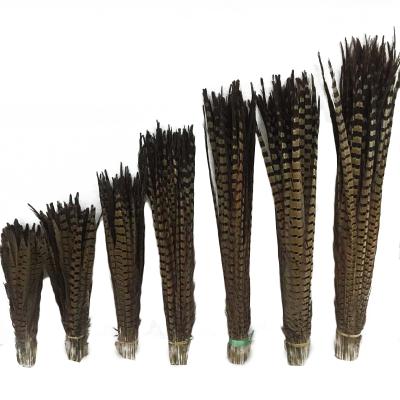 China Wedding Wholesale Pretty Natural Pheasant Tail Feathers Decoration Accessories for sale