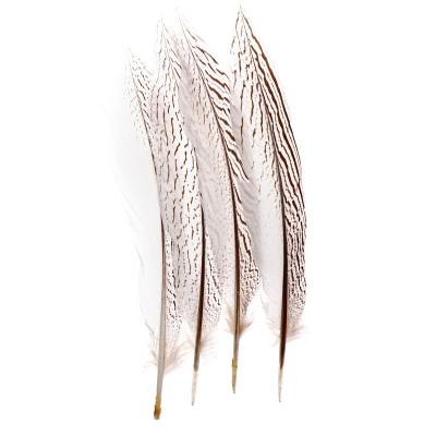 China High Quality White Silver Decorations Pheasant Tail Feathers for sale