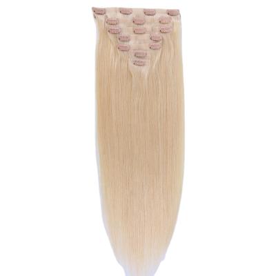 China TopElles Virgin Silky Straight Clip In Hair Extensions For Women 22inches Seamless Clip In Hair Extension for sale