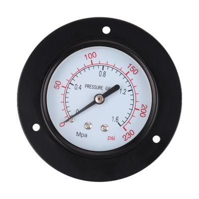 China Leierda LEIERDA 2.5inch 60mm Axial Pressure Gauge with Edge BSP, PT, NPT1/4 Thread LPG100BFXX for sale