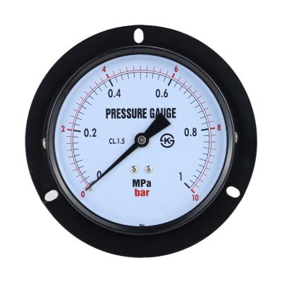 China Leierda LEIERDA 4inch 100mm Axial Pressure Gauge with Edge BSP, PT, NPT1/2 Thread LPG100ZT for sale