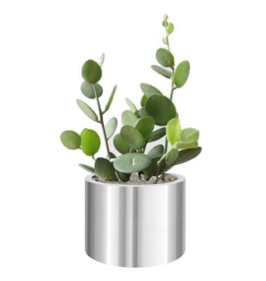 China With Base Cylinder Nordic Style Round Stainless Steel Worktop Succulent Planter for sale