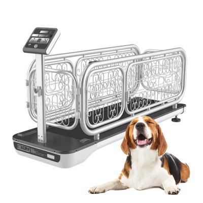 China Stocked Veterinary Treadmill LED Display Remote Control Dog Treadmill For Pet Training for sale