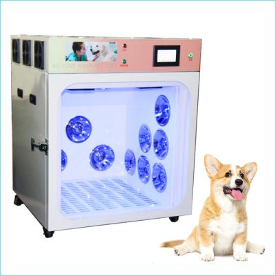 China Pet Dryer Pet Dryer Equipment Room Machine Room Pet Dryer Automatic Hot Dry Cat Viable Dryer Box for sale