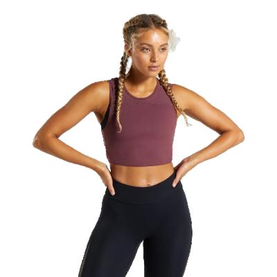 Chine Custom Antibacterial Women Yoga Wear Gym Fitness Plain Invest Wholesale Yoga Wear Women's Gym Tops à vendre