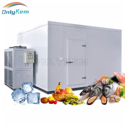 China Pressure Freeze Blast Freezer Room Quick Freeze Meat And Fish for sale