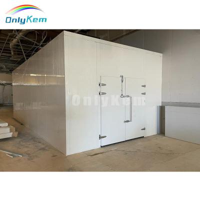 China Cooler Container Cold Storage Freezer Cold Room Walk In Cold Room for sale