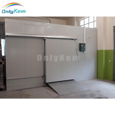 China Container cold room food storage cold room for fruit and vegetable cold storage room for sale