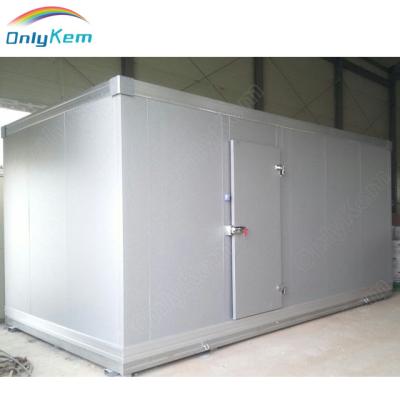 China Easy To Install 30 Ton Coldroom Freezer For Seafood for sale