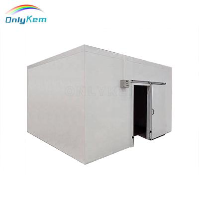 China Container Cold Room With Compressor Refrigeration Unit Freezer Room For Meat Fruit Cold Storage Room for sale