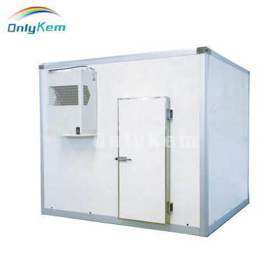 China Container Prefab Commercial Walk-In Cold Storage Cold Room For Meat Fish Fruit Freezer Room for sale