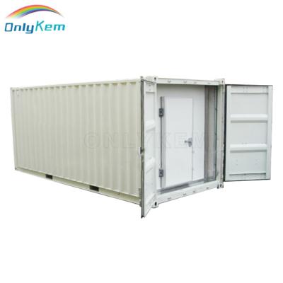 China food & Beverage Factory Cold Storage Container Room for sale