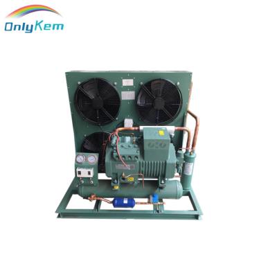 China Hotels Air Cooled Blast Freezer Industrial Condensing Unit For Fish Storage for sale