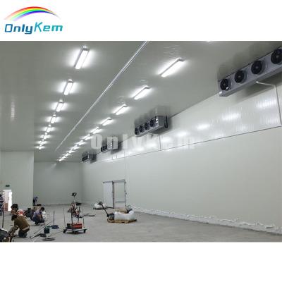 China Cold Storage Low Cost Cold Storage Freezer Cold Room Modular Cold Rooms for sale