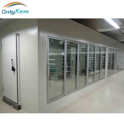 China Heat insulation glass door for display walk in cooler/freezer room for store and beer cave for sale