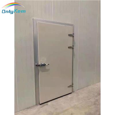 China Industrial Room Door Refrigerator Cold Storage Replaced Hinged Door Cold Room Door for sale