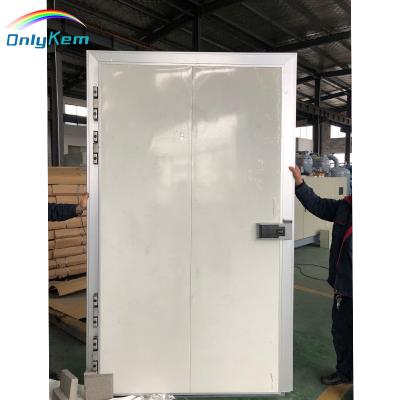 China Maintain low temperature door replaced walk in freezer door, walk in cooler doors, cold room door for sale