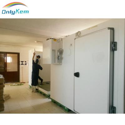 China Hotels cold storage door/pu panel door for sale