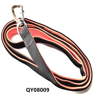 China High Tenacity Quality Guarantee Nylon Twisted Knitting Braiding Pet Dog Leash Chain Pet Leash Rope for sale