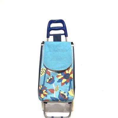 China Durable Manufacturer Direct Personal Folding Supermarket Shopping Trolley Elderly Portable Shopping Trolley for sale