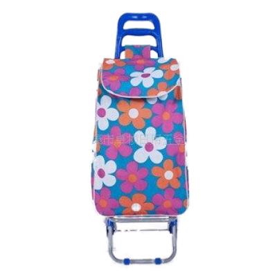 China Folding Folding Shopping Cart Trolley With Various Designs for sale