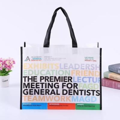 China China Factory Eco-friendly Promotional Shopping Bag PP Non Woven Bag for sale