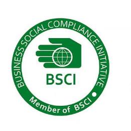 BSCI - T&K Garment Accessories Co.,Ltd