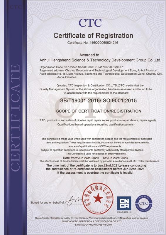 ISO9001 - Anhui Hengsheng Science & Technology Development Group Co., Ltd.