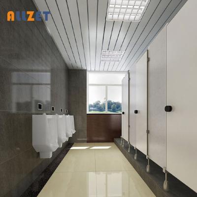 China Public Toilet Door Partition Bathroom Curtain Wall Toilet Separation Solid Durable Phenolic Fireproof And Moistureproof Toilet Room,School Custominzed for sale