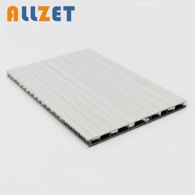 China Modern Hot Sale 4mm 6mm Aluminum Honeycomb Panel Ceiling Panel 8mm for sale