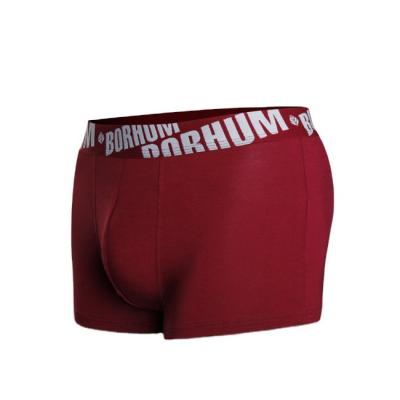 China 2022 Hot Selling Fashion Antibacterial New Design Mens Briefs Boxers Shorts for sale