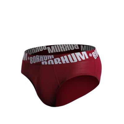 China Antibacterial Design Hot New Arrival Mens Underwear High Quality Plain For Mens Panties Shorts for sale