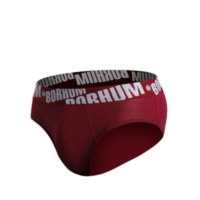 China 2022 Hot Selling Antibacterial Boxer Briefs Men's Underwear High Quality Logo for sale