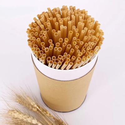 China Straw Drinking Straw Disposable Biodegradable Compostable Eco Friendly Natural Wheat Wheat Drinking Straw for sale