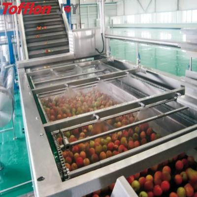 China Full-automatic SUS304/316L stainless steel dates fruit juice production line for sale