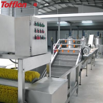 China Complete turnkey high efficiency apple and pear processing line for sale