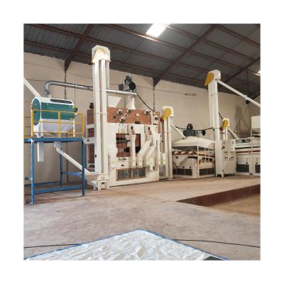 China High efficiency 1T per hour coffee cleaning line coffee processing line for sale