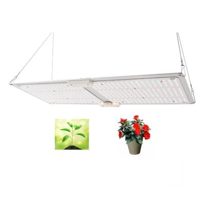 China Seed Starting Farmer Lights lm301h lm301b lm281b Plants Commercial Bulb Full Spectrum Controller Indoor Led Grow Light for sale