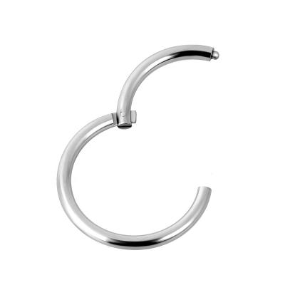 China TRENDARY Fashion Nose Ring Piercing Jewelry 16g Hinged Segment Ring Wholesale for sale