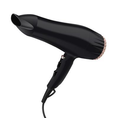 China Ionic Wholesale Custom Professional Hair Salon Blow Dryer High Speed ​​DC Motor Hair Dryer for sale