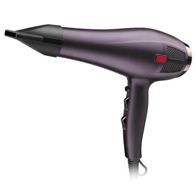 China Wholesale Ionic Hair Care Tool Professional Salon Beauty Hair Fan 2000W Hair Dryer Strong Wind for sale