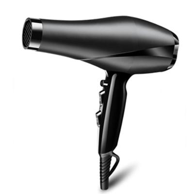 China Professional Thermoprotect Ionic Function AC Motor Hair Salon Equipment Blow Dryer Hair Dryer for sale