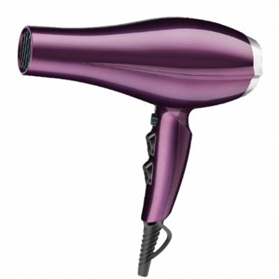 China Hair Salon Equipment Blow Dryer Ionic Far Infrared Ionic Hair Dryer for sale