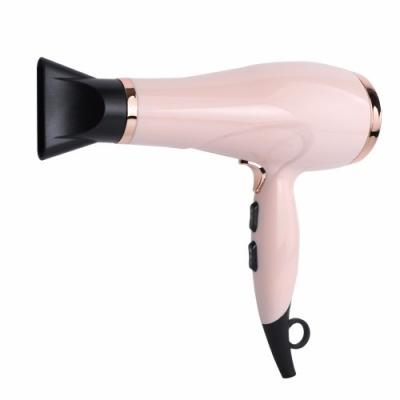 China 2021 New Sale Ionic With Concentrator Negative Ion Hair Dryer Hair Salon Equipment Hair Dryer for sale