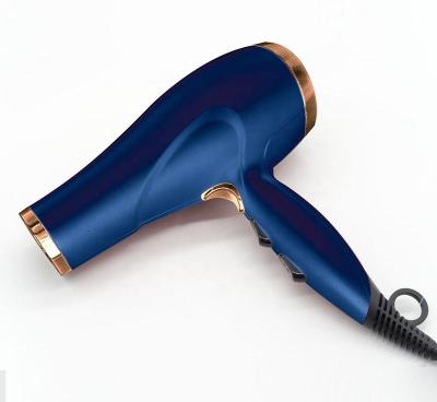 China Ionic Wholesale Hair Salon Professional Hair Dryer Price Hairdressing Dryer Hair Dryer for sale