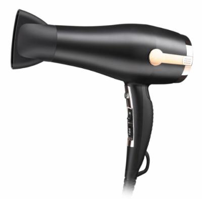 China Professional High Speed ​​Ionic Hair Dryer Salon Use Lightweight Home Hair Dryer With 2200w Model for sale